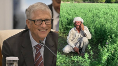 Bill Gates Has Big Plans for Pakistan Agriculture