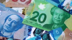 Canadian Dollar Back Above Rs. 200, British Pound Near 370 Against PKR