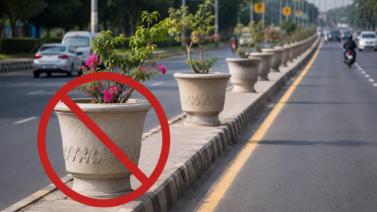 Punjab Bans Concrete Flower Pots on Roadsides, Medians