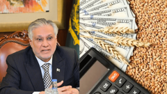 Govt Approves Lowest Bid to Import Wheat for Sindh