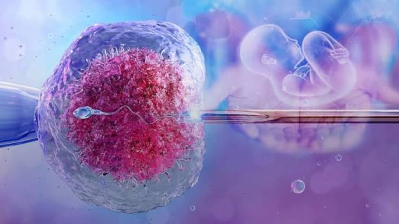 Pakistani Scientist Gains Recognition For IVF Imaging Research