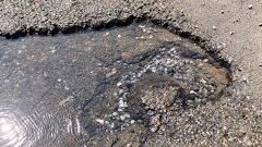 Multiple Natural Springs Emerge Across Islamabad [Video]