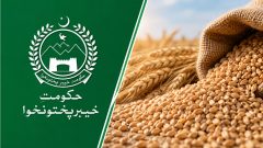KP Faces Wheat Crisis as Govt Stocks Fall to Two-Week Supply