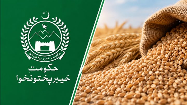 KP Faces Wheat Crisis as Govt Stocks Fall to Two-Week Supply