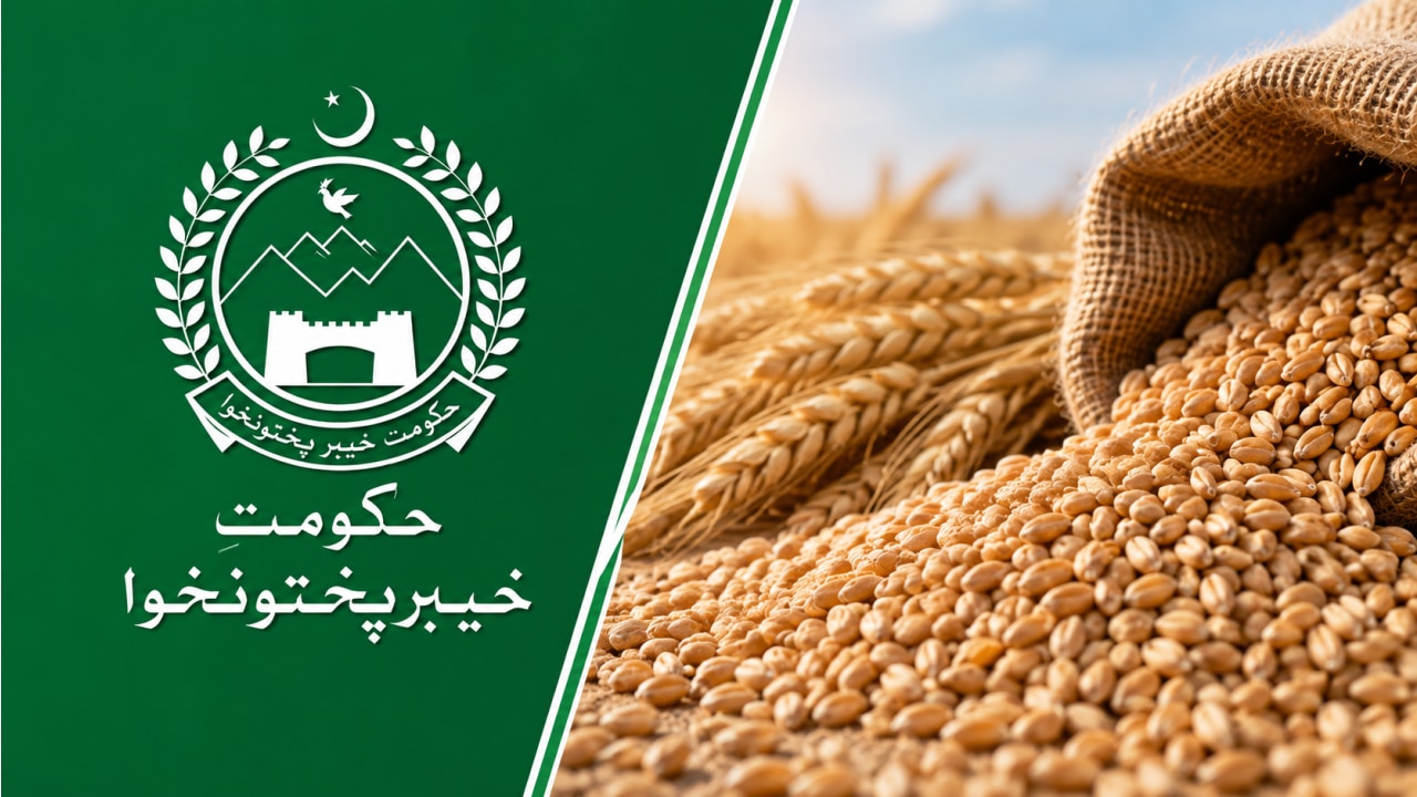KP Faces Wheat Crisis as Govt Stocks Fall to Two-Week Supply