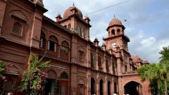Punjab University Announces Results of Multiple Exams
