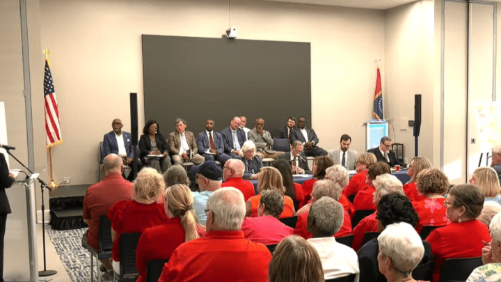 Hearing in Desoto County shows support for race neutral redistricting