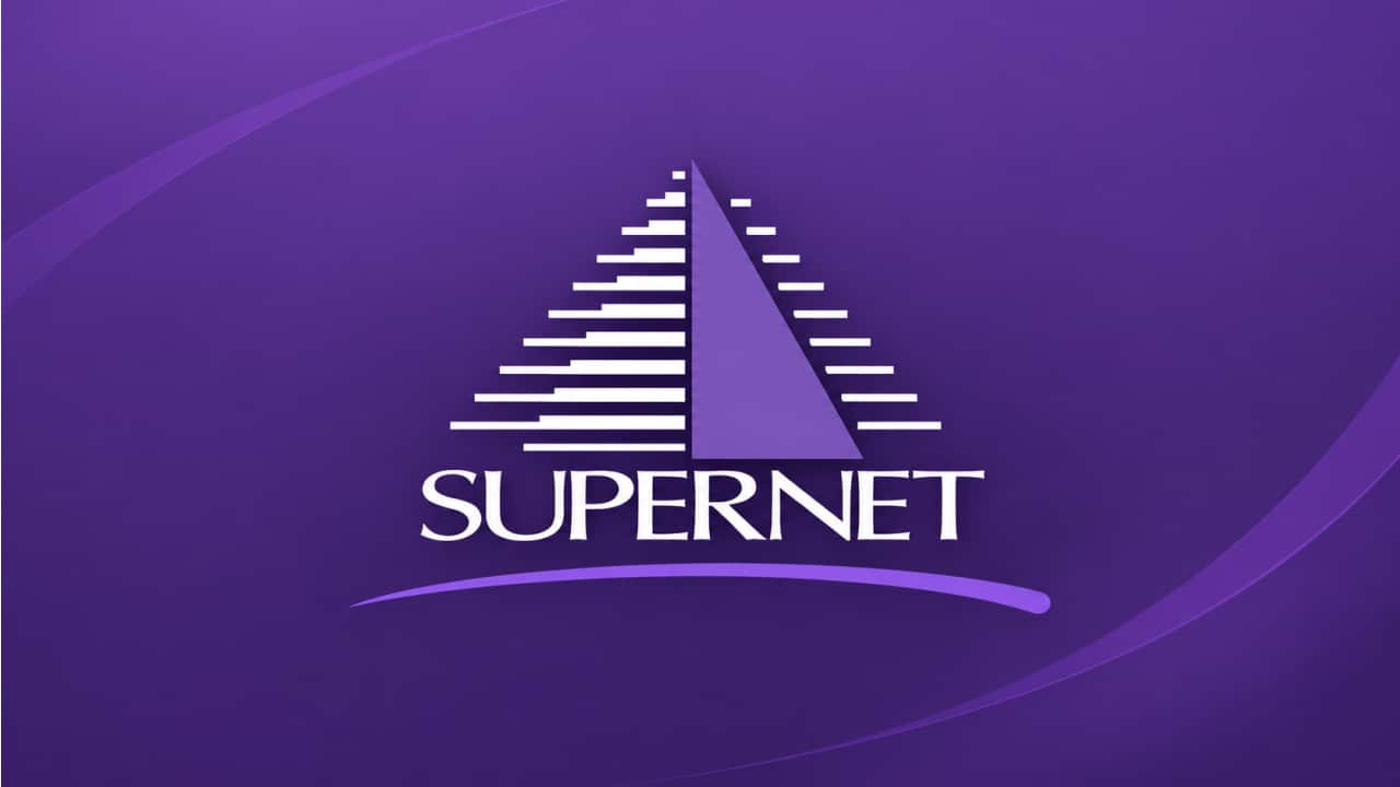 Supernet Technologies Profit Jumps Nearly 500% After Merger