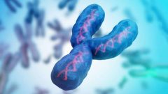 Y Chromosome Loss Linked to Early Cancer Risk in Men