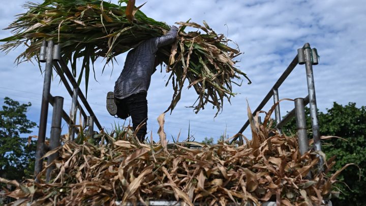 El Nino: A phenomenon supercharged by climate change