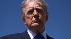 US states sue Trump over weakening of endangered species protections