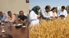 Pakistan Agricultural Coalition Proposes New Wheat Support Model for Farmers