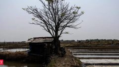El Nino will linger longer. What it means for India