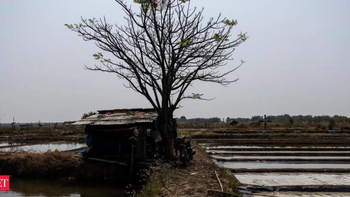 El Nino will linger longer. What it means for India