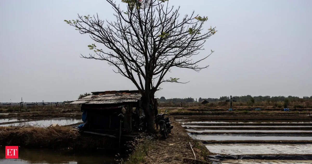 El Nino will linger longer. What it means for India