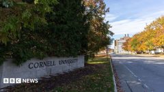 US prosecutors reopen case of alleged gang rape at Cornell University