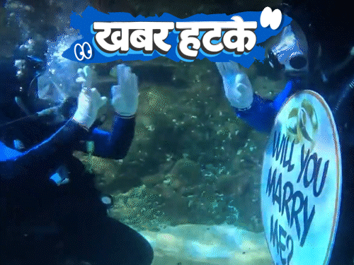खबर हटके- शार्क के सामने गर्लफ्रेंड को प्रपोज: एक्स्ट्रा मैरिटल अफेयर पर 100 कोड़ों की सजा; बंदर और वकील की पक्की दोस्ती1:44Play video