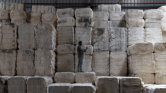 Pakistan Faces $2 Billion Cotton Shortage