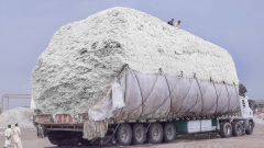 Cotton Mills Start Losing Rs. 1 Crore Daily