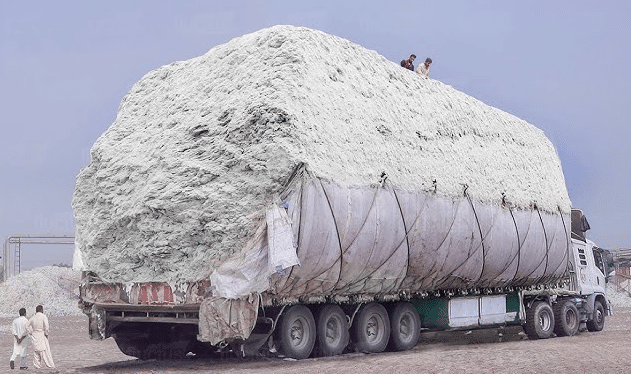Cotton Mills Start Losing Rs. 1 Crore Daily