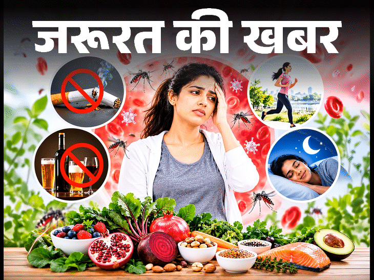 जरूरत की खबर- प्लेटलेट्स के लिए खाएं ये 10 फूड: डॉक्टर से समझें इसका साइंस, हेल्दी रखने और नुकसान पहुंचाने वाली आदतों की लिस्ट