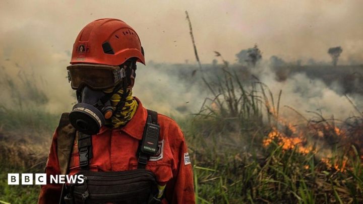 Toxic wildfire haze spreads across South East Asia as 'super' El Niño intensifies