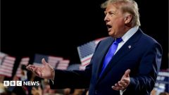 Trump pledges $5,000 to every American if Republicans win November elections