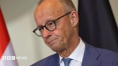 Eight German state premiers back Merz amid speculation over future
