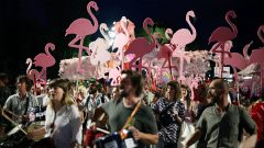 ‘Flamingo Revolution’ enters 100th day against Kushner-linked resort