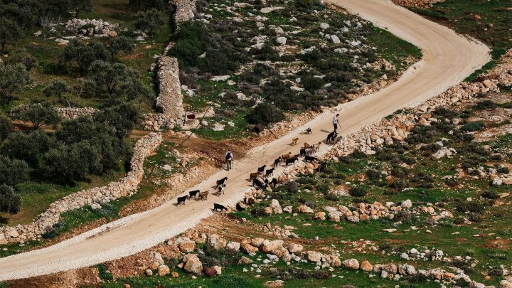 ‘A bit too late, but important’: UK bans goods from Israeli settlements