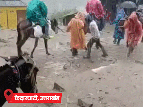 उत्तराखंड में कार बही, घर में मलबा घुसा, 11 मौतें: केदारनाथ में बारिश रुकी, यात्रा फिर शुरू; यूपी के चित्रकूट में बाढ़ से 80 घर गिरे0:39Play video