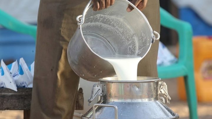 Karachi Milk Could Hit Rs. 300