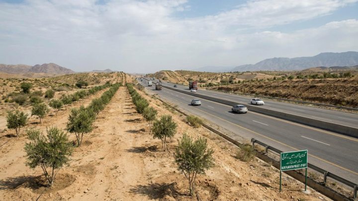 PHC Hears Petition For Olive Plantation Along Motorways