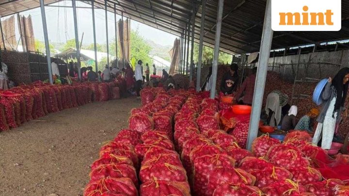 Centre expands subsidized onion sales to small towns as prices double in a year