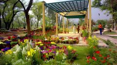Rawalpindi Gets New Parks