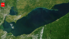 ScienceAfter reconnection, Lake Erie wetland logged 3.44 million fish detections