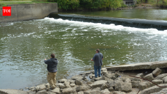 Ohio dam removal doubles free-flowing habitat, 15 new fish species found