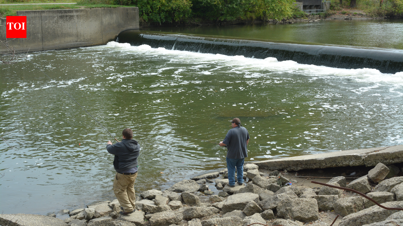 Ohio dam removal doubles free-flowing habitat, 15 new fish species found