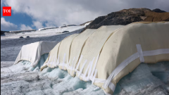 Scientists cover Swiss glacier with sheep's wool to slow ice melt