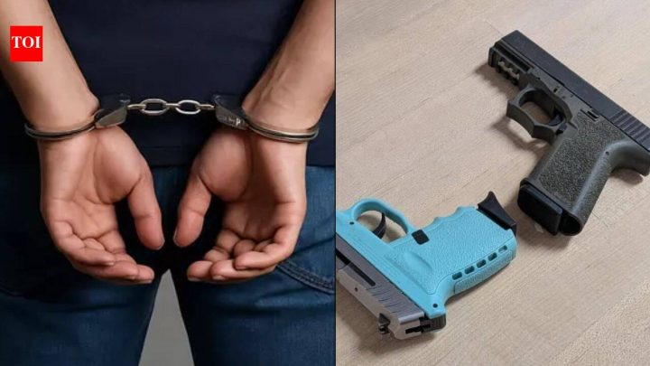 USPizza, meth & guns: Indian illegally living in US charged with drug trafficking