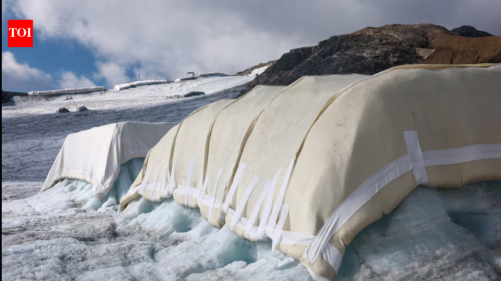 Scientists cover Swiss glacier with sheep's wool to slow ice melt