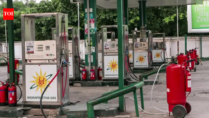 India BusinessAlternate fuels overtake petrol in passenger car sales