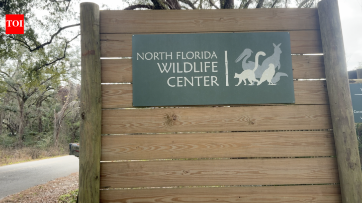Florida wildlife centre brings endangered lemurs to help restore Madagascar forest
