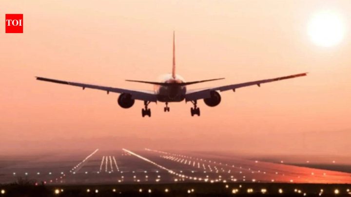 USTwo dead, two critical after small plane crashes in California