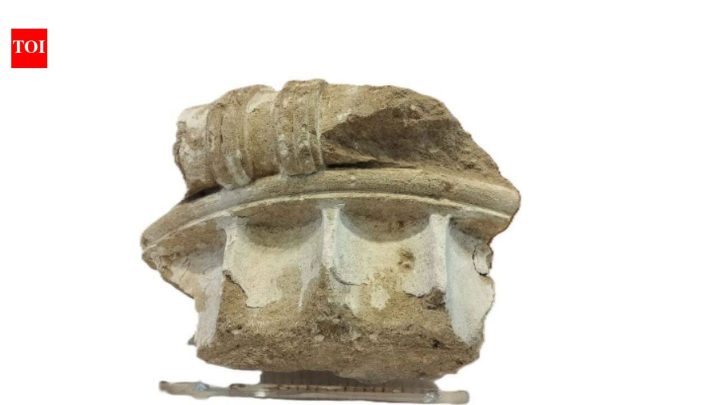 German tourist returns 2,400-year-old Olympia relic more than 50 years later
