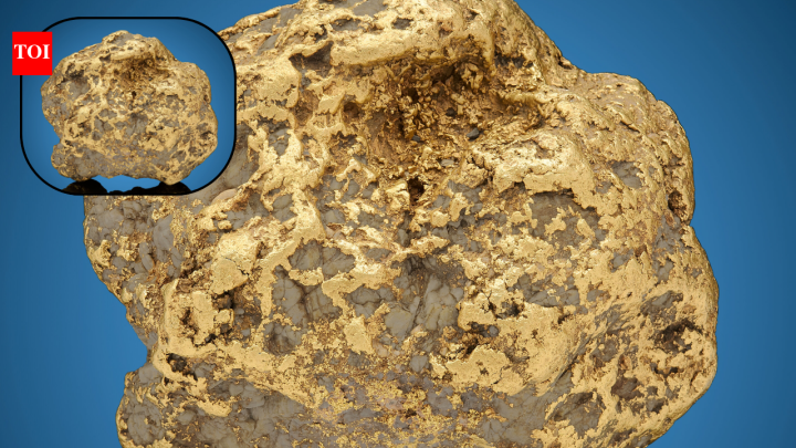 Alaska’s largest recorded gold nugget, found in 1998, later sold for $750,000