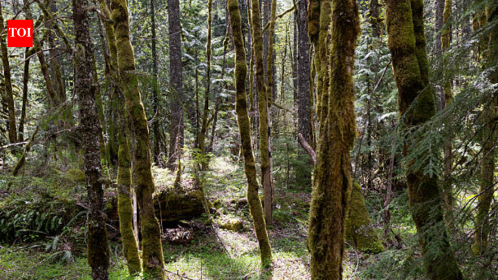 New Jersey couple gave away 90-acre estate; land is now a free public preserve