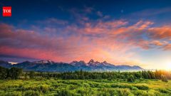 Scientists find ancient Wyoming forest took 100,000 years to recover from warming