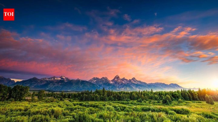 Scientists find ancient Wyoming forest took 100,000 years to recover from warming