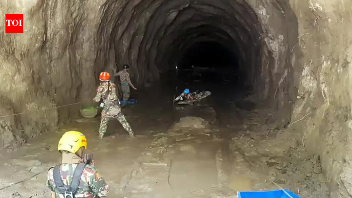 India'23 Silkyara 'rat miners' offer to join Nepal tunnel rescue